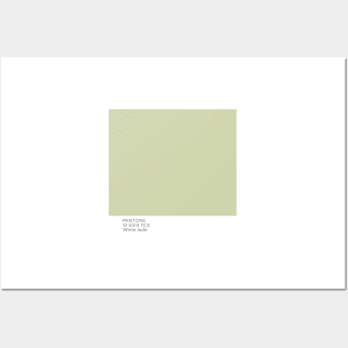 pantone 12-0315 TCX White Jade Posters and Art